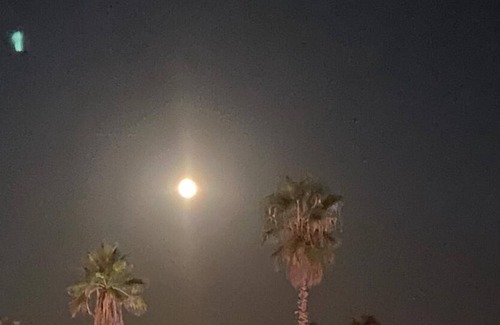 Moriani-Plage Apartment | San Nicolao de Moriani: les Marines studio sea view with direct beach access.