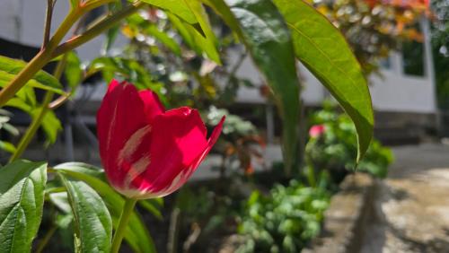 Sanahin House | Sanahin OLD&NEW