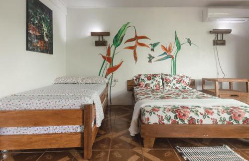 Valle Azul House | Santuario de Ranas - Explora nuestro paraíso natural