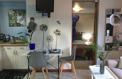 Saint-Joseph Apartment | Saphir et sa Piscine à Débordement 3D Avec Bar à Punch Intégré