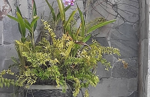 Saint-Joseph Apartment | Saphir et sa Piscine à Débordement 3D Avec Bar à Punch Intégré