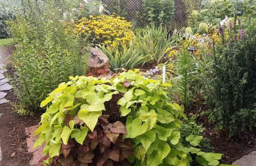 Sarnia Apartment | Sarnia Secret - BIG, Private 3 BR/2 BA APT by HWY