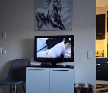 Pieksamaki Apartment | Saunallinen yksiö