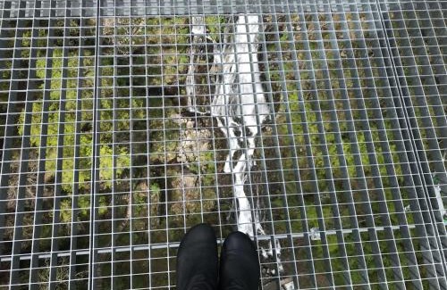 Reiselfingen Apartment | Saunaparadies Black Forest