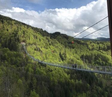 Reiselfingen Apartment | Saunaparadies Black Forest