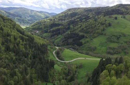 Reiselfingen Apartment | Saunaparadies Black Forest