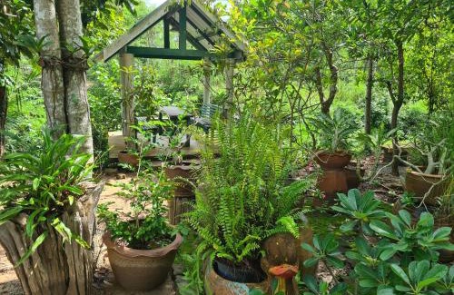 Chakphong Resort | Sawaddee Holland