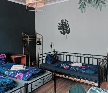 Waldheim Apartment | SaxonyBNB