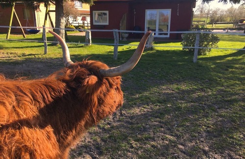 Holzdorf Cabin | Scandinavian vacation cabin at Ostsee-Hof Musnest