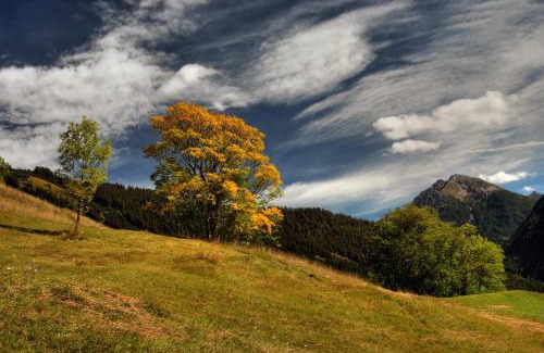 Bach Hotel | Schönauer Hof