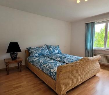 Vaduz Apartment | Schöne grosse Attika-Wohnung im Zentrum von Vaduz inkl. Parkplatz