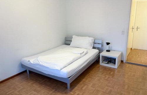 Vaduz Apartment | Schöne grosse Attika-Wohnung im Zentrum von Vaduz inkl. Parkplatz