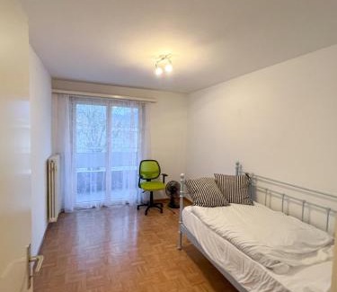 Vaduz Apartment | Schöne grosse Attika-Wohnung im Zentrum von Vaduz inkl. Parkplatz