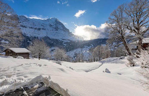 Grindelwald Apartment | Schürli Apartment - Aare Jungfrau AG