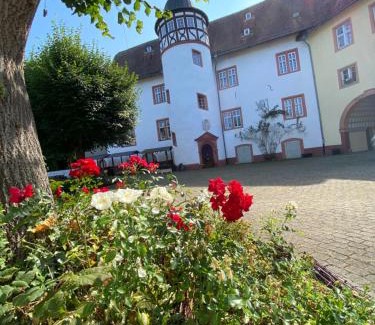 Nidda Apartment | Schloss Nidda - FeWo mit Privatgarten, Fellnasen willkommen!