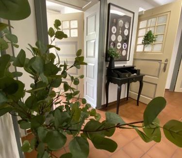 Nidda Apartment | Schloss Nidda - FeWo mit Privatgarten, Fellnasen willkommen!