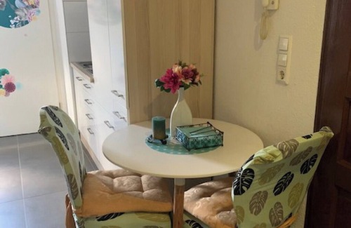 Mosbach Apartment | Schnuckeliges Studio