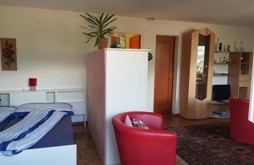 Tscheppach Apartment | Schweizer Haus