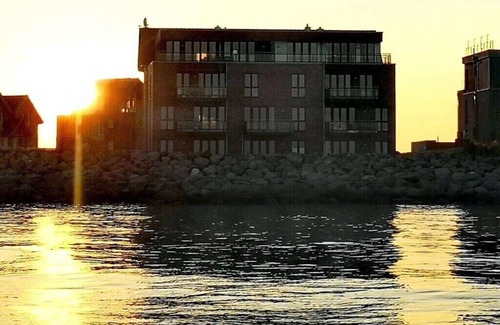 Sieseby House | Sea lion in the Molenhuus Comfortable holiday residence