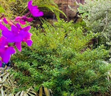 Aturuwella Bed & Breakfast | Sea Turtles Boutique Bungalow