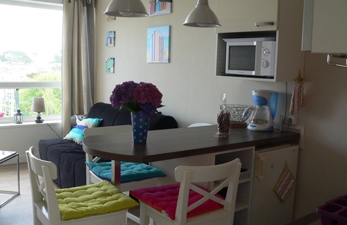 Trevou-Treguignec Apartment | Sea view apartment, 2-4 pers, 50m from the beach, pink granite coast, paimpol bay.