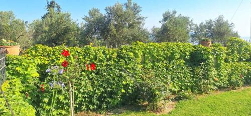 Katochori Villa | Sea view villa Stelios with Private pool Near the beach