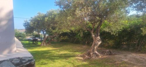 Katochori Villa | Sea view villa Stelios with Private pool Near the beach