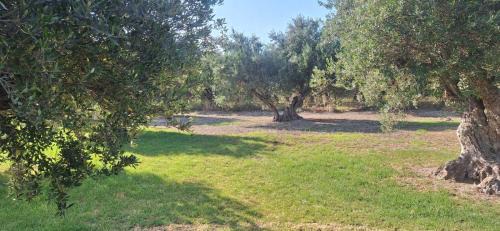 Katochori Villa | Sea view villa Stelios with Private pool Near the beach