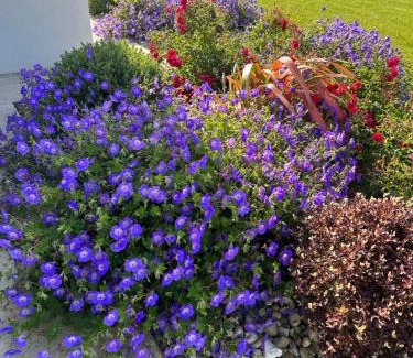 Rathmullan House | Sea Vista - Rathmullan