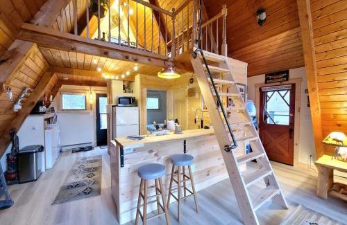 Luther Ski Chalet | Secluded A-Frame Cabin with Private Riverfront on Little Manistee River near Tustin, Michigan
