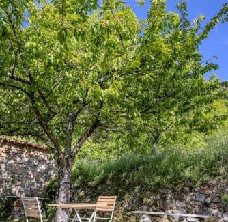 Salvezines House | Secluded home in Le Caunil