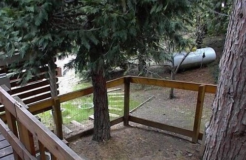 Camp Nelson Cabin | Secluded Mountain Cabin with Rustic Charm in the Sequoia National Forest