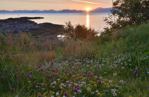 Bø House | See Lofoten mountains midnight sun and nothern lights in Steigen