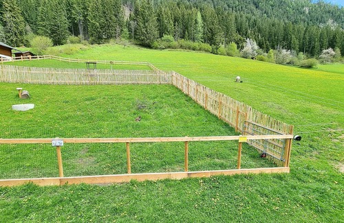 Neusach House | Seewiesen Hütte Weissensee Kärnten