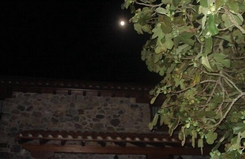 Sinariega Cottage | Self catering La Quintana Sinariega for 8 people