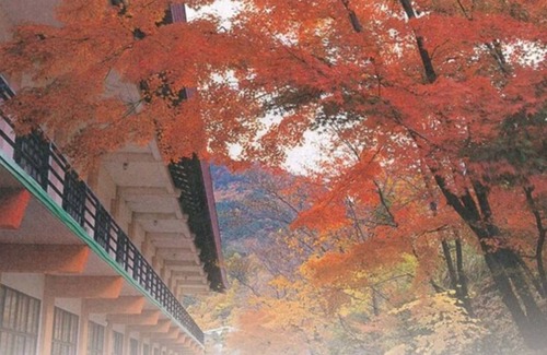 Togura Kamiyamada Onsen House | Semidouble Spacious 120cmwide semidouble bed /Chikuma Nagano