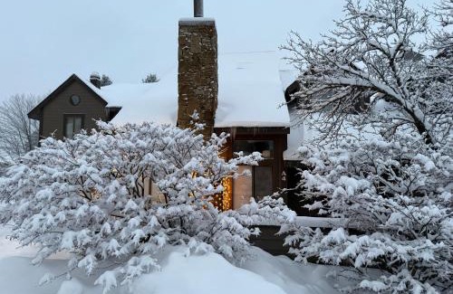 Seven Springs Apartment | Seven Springs Hideaway Ski In and Out Pet Friendly