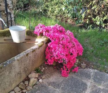 Mailhac-sur-Benaize House | Sfeervol huis op het platteland