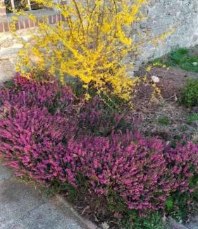 Mailhac-sur-Benaize House | Sfeervol huis op het platteland