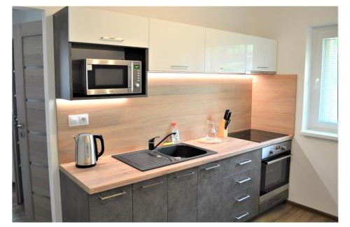 Trencin Apartment | SGL apartments Lavickova