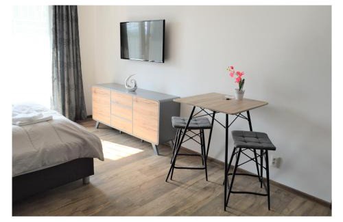 Trencin Apartment | SGL apartments Lavickova