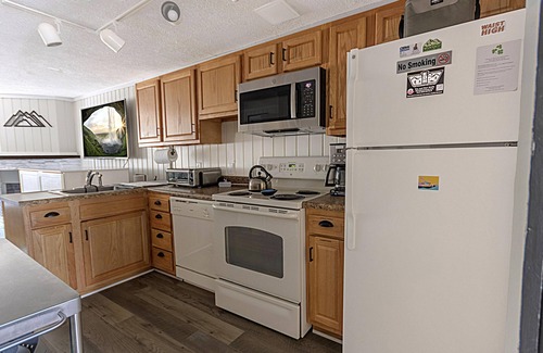 Snowshoe House | Shamrock 21A: Winter Escape for You & Your Dog with Fireplace & EV