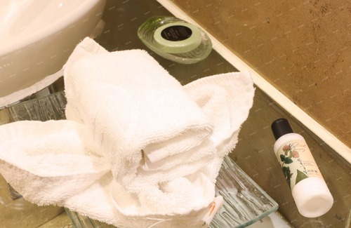 Buji Hotel | Shenzhen Qiushuishanju Hotel