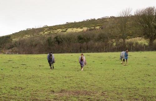 Llangranog House | Shepherds Rest Llangrannog