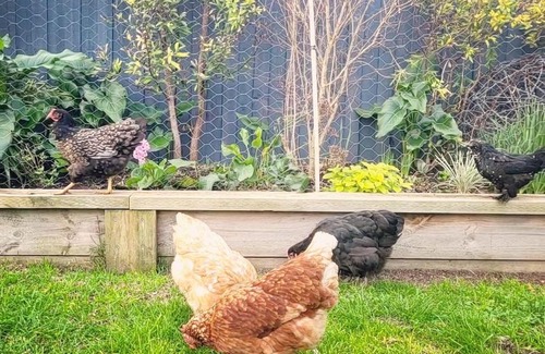 St. Andrews Beach House | Shore Thing Beach Escape