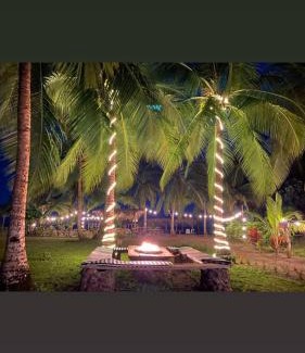 El Jobo Hotel | Show Pony Ranchero Resort - Boutique Beach Hotel