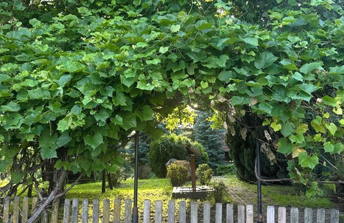 Pasym Apartment | Sielski Loft Mazury w pobliżu jezior, Elganowo, Pasym