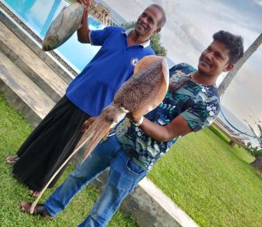 Devinuwara Villa | Silverlane Beach House