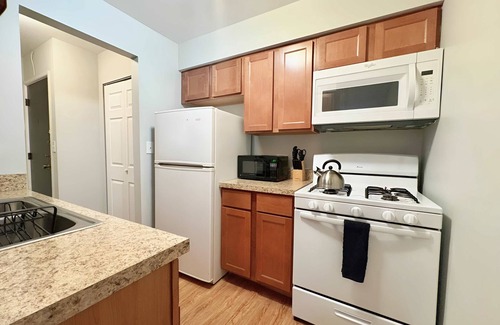 Lake View East Apartment | Simple, Comfy Living - Furnished 1BR Pad