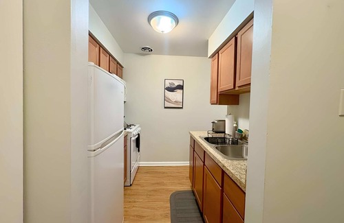 Lake View East Apartment | Simple, Comfy Living - Furnished 1BR Pad